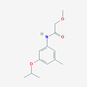 molecular formula C13H19NO3 B13209268 2-Methoxy-N-[3-methyl-5-(propan-2-yloxy)phenyl]acetamide 