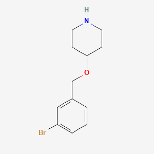 molecular formula C12H16BrNO B13209710 4-[(3-Bromophenyl)methoxy]piperidine 