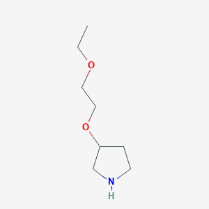 molecular formula C8H17NO2 B13211093 3-(2-Ethoxyethoxy)pyrrolidine 