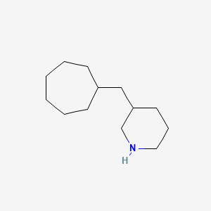 molecular formula C13H25N B13211225 3-(Cycloheptylmethyl)piperidine 