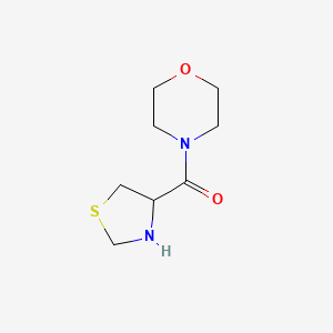 molecular formula C8H14N2O2S B13212837 4-(1,3-Thiazolidine-4-carbonyl)morpholine 