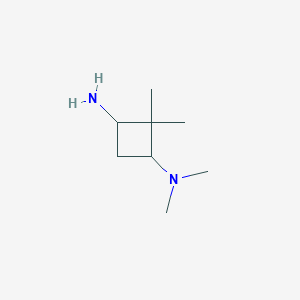 N1,N1,2,2-Tetramethylcyclobutane-1,3-diamine