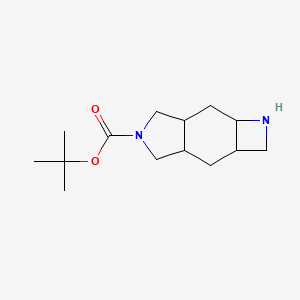 molecular formula C14H24N2O2 B13215033 tert-Butyl decahydro-1H-azeto[2,3-f]isoindole-5-carboxylate 