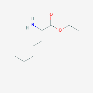 molecular formula C10H21NO2 B13216695 Ethyl 2-amino-6-methylheptanoate 