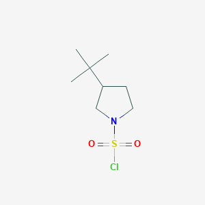 3-Tert-butylpyrrolidine-1-sulfonyl chloride