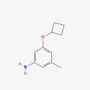 molecular formula C11H15NO B13217622 3-Cyclobutoxy-5-methylaniline 