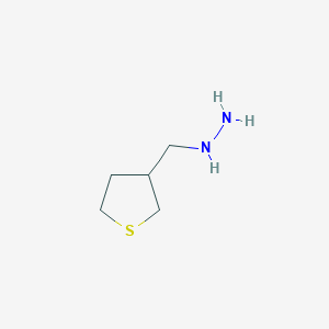 molecular formula C5H12N2S B13218339 (Thiolan-3-ylmethyl)hydrazine 