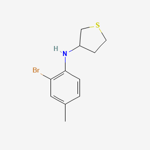 molecular formula C11H14BrNS B13218574 N-(2-bromo-4-methylphenyl)thiolan-3-amine 