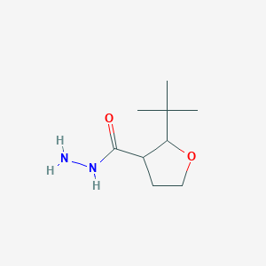 molecular formula C9H18N2O2 B13218933 2-tert-Butyloxolane-3-carbohydrazide 