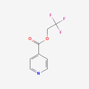 molecular formula C8H6F3NO2 B13219346 2,2,2-Trifluoroethyl pyridine-4-carboxylate 