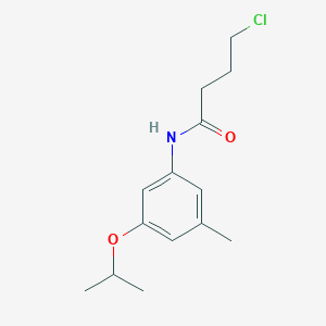 4-Chloro-N-[3-methyl-5-(propan-2-yloxy)phenyl]butanamide