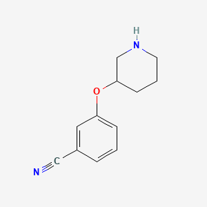 molecular formula C12H14N2O B1322126 3-(3-哌啶氧基)苯甲腈 CAS No. 902836-93-5