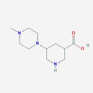 5-(4-Methylpiperazin-1-yl)piperidine-3-carboxylic acid