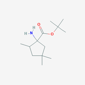 molecular formula C13H25NO2 B13222273 tert-Butyl 1-amino-2,4,4-trimethylcyclopentane-1-carboxylate 