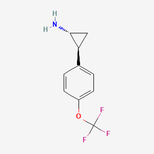 molecular formula C10H10F3NO B13223776 (1R,2S)-2-[4-(Trifluoromethoxy)phenyl]cyclopropan-1-amine 