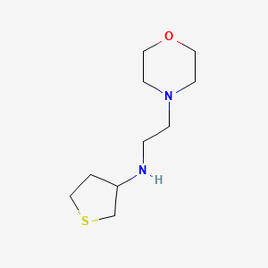 molecular formula C10H20N2OS B13224436 N-[2-(Morpholin-4-YL)ethyl]thiolan-3-amine 