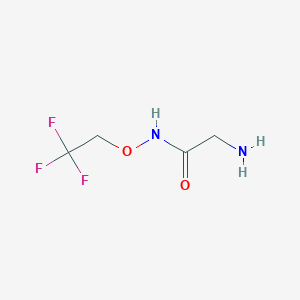 molecular formula C4H7F3N2O2 B13226085 2-amino-N-(2,2,2-trifluoroethoxy)acetamide 