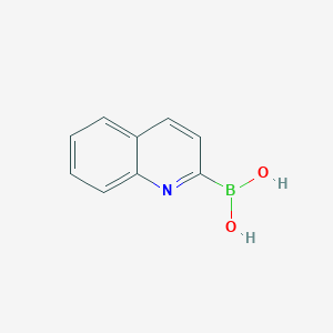 molecular formula C9H8BNO2 B1322661 喹啉-2-基硼酸 CAS No. 745784-12-7