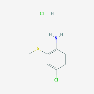 molecular formula C7H9Cl2NS B13227086 4-Chloro-2-(methylsulfanyl)aniline hydrochloride 