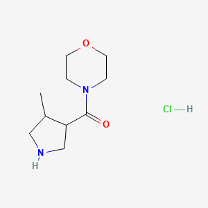 4-(4-Methylpyrrolidine-3-carbonyl)morpholine hydrochloride