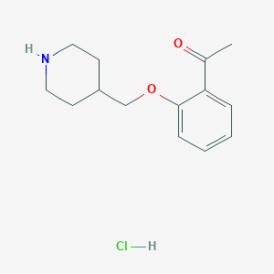 molecular formula C14H20ClNO2 B1322788 1-[2-(4-哌啶基甲氧基)苯基]-1-乙酮盐酸盐 CAS No. 614730-48-2