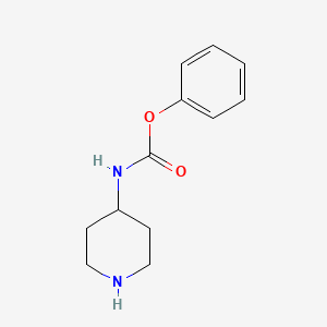 molecular formula C12H16N2O2 B13230541 Phenyl n-(piperidin-4-yl)carbamate 