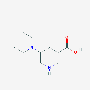 5-[Ethyl(propyl)amino]piperidine-3-carboxylic acid