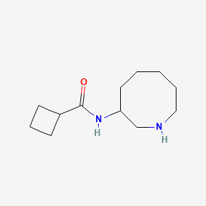 molecular formula C12H22N2O B13231456 N-(Azocan-3-yl)cyclobutanecarboxamide 