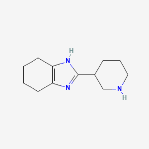 molecular formula C12H19N3 B13232732 2-(Piperidin-3-YL)-4,5,6,7-tetrahydro-1H-1,3-benzodiazole 