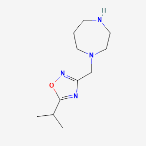 molecular formula C11H20N4O B13233655 1-{[5-(Propan-2-yl)-1,2,4-oxadiazol-3-yl]methyl}-1,4-diazepane 