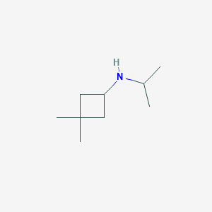 molecular formula C9H19N B13233662 3,3-dimethyl-N-(propan-2-yl)cyclobutan-1-amine 