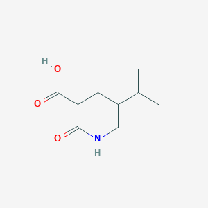 molecular formula C9H15NO3 B13234224 2-Oxo-5-(propan-2-yl)piperidine-3-carboxylic acid 