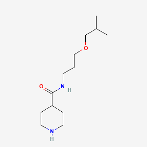 N-(3-isobutoxypropyl)piperidine-4-carboxamide