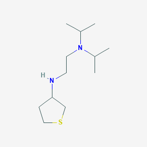 molecular formula C12H26N2S B13235551 Bis(propan-2-yl)({2-[(thiolan-3-yl)amino]ethyl})amine 