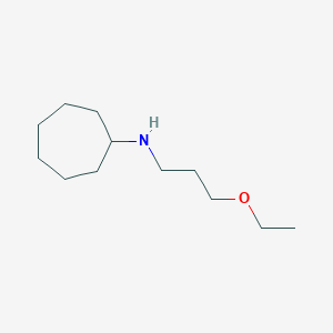 molecular formula C12H25NO B13235828 N-(3-ethoxypropyl)cycloheptanamine 