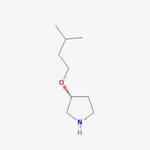 molecular formula C9H19NO B13235948 (3R)-3-(3-methylbutoxy)pyrrolidine 