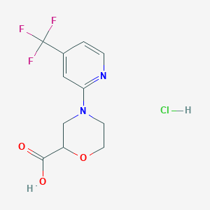 4-[4-(Trifluoromethyl)pyridin-2-yl]morpholine-2-carboxylic acid hydrochloride