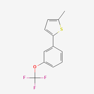 molecular formula C12H9F3OS B13236558 2-Methyl-5-(3-(trifluoromethoxy)phenyl)thiophene 