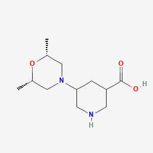 5-[(2R,6S)-2,6-Dimethylmorpholin-4-yl]piperidine-3-carboxylic acid