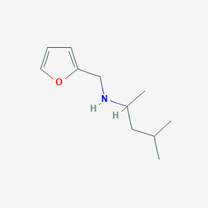 molecular formula C11H19NO B13239282 (Furan-2-ylmethyl)(4-methylpentan-2-YL)amine 