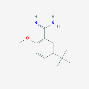 molecular formula C12H18N2O B13239304 5-tert-Butyl-2-methoxybenzene-1-carboximidamide 