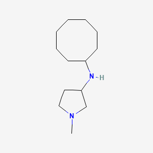 molecular formula C13H26N2 B13239622 N-cyclooctyl-1-methylpyrrolidin-3-amine 