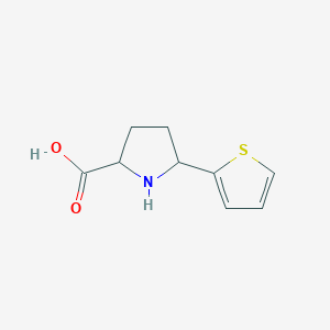 molecular formula C9H11NO2S B13239843 5-(Thiophen-2-yl)pyrrolidine-2-carboxylic acid 