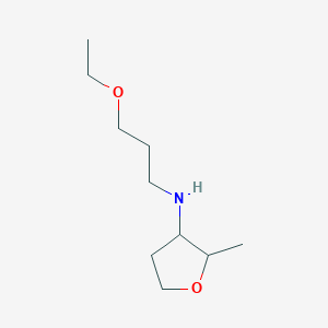 molecular formula C10H21NO2 B13240007 N-(3-Ethoxypropyl)-2-methyloxolan-3-amine 