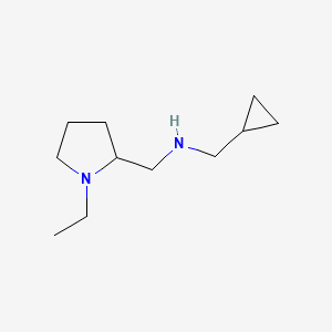 molecular formula C11H22N2 B13241054 (Cyclopropylmethyl)[(1-ethylpyrrolidin-2-yl)methyl]amine 