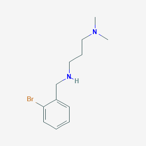 molecular formula C12H19BrN2 B13241630 [(2-Bromophenyl)methyl][3-(dimethylamino)propyl]amine 