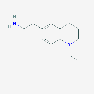 molecular formula C14H22N2 B13241646 [2-(1-Propyl-1,2,3,4-tetrahydroquinolin-6-YL)ethyl]amine 