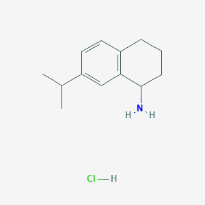 molecular formula C13H20ClN B13243060 7-(Propan-2-yl)-1,2,3,4-tetrahydronaphthalen-1-amine hydrochloride 