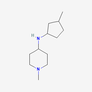 molecular formula C12H24N2 B13243413 1-methyl-N-(3-methylcyclopentyl)piperidin-4-amine 