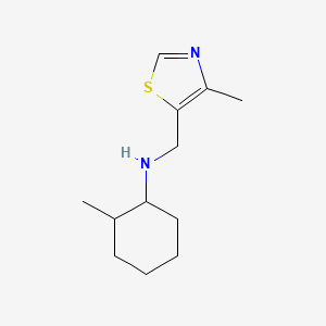 molecular formula C12H20N2S B13244058 2-methyl-N-[(4-methyl-1,3-thiazol-5-yl)methyl]cyclohexan-1-amine 